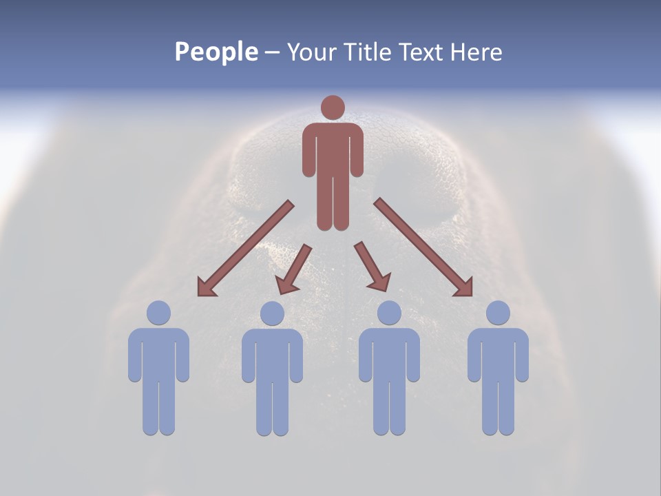 Zambezi Sunrise PowerPoint Template