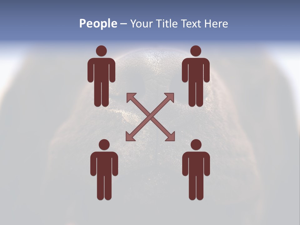 Zambezi Sunrise PowerPoint Template