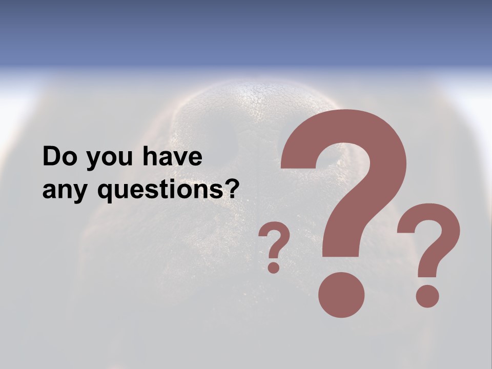 Zambezi Sunrise PowerPoint Template