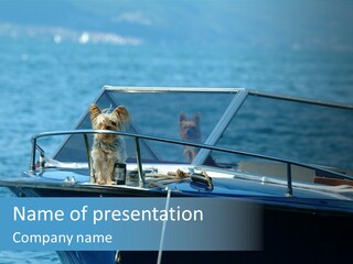 Dogs On A Power Boat, Lac Lemon, Switzerland PowerPoint Template