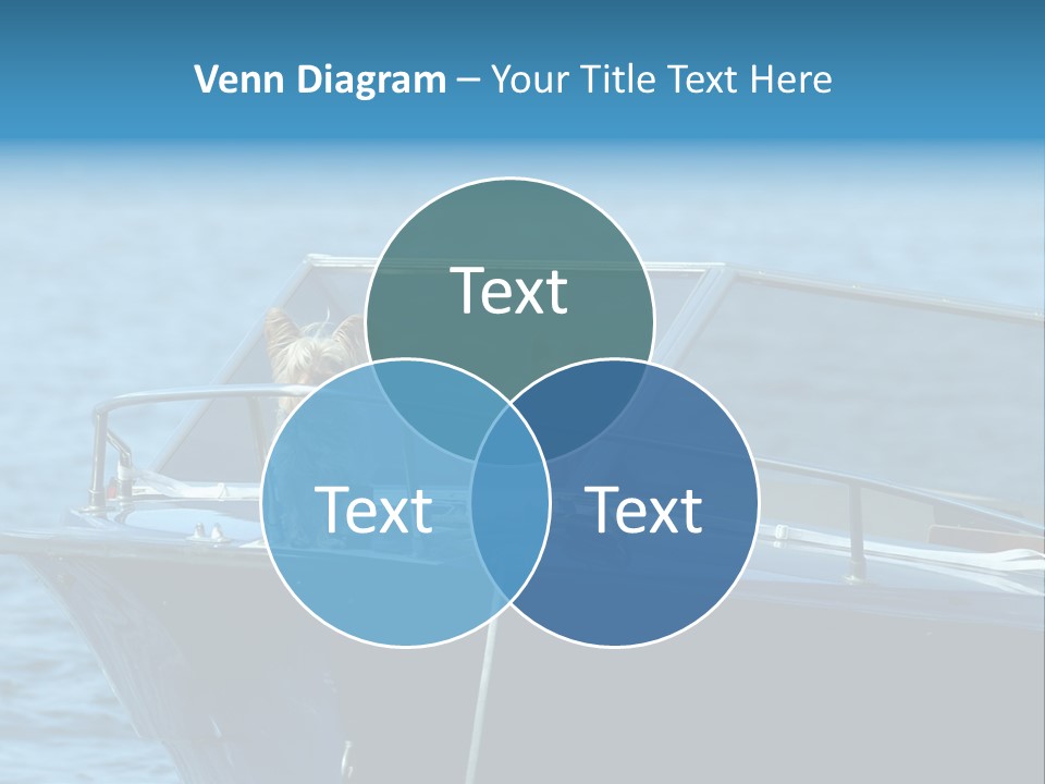 Dogs On A Power Boat, Lac Lemon, Switzerland PowerPoint Template