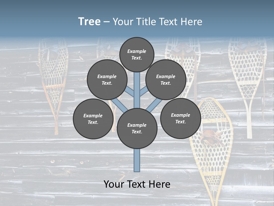 Old Snowshoes Nailed To The Side Of An Old Weathered Barn PowerPoint Template