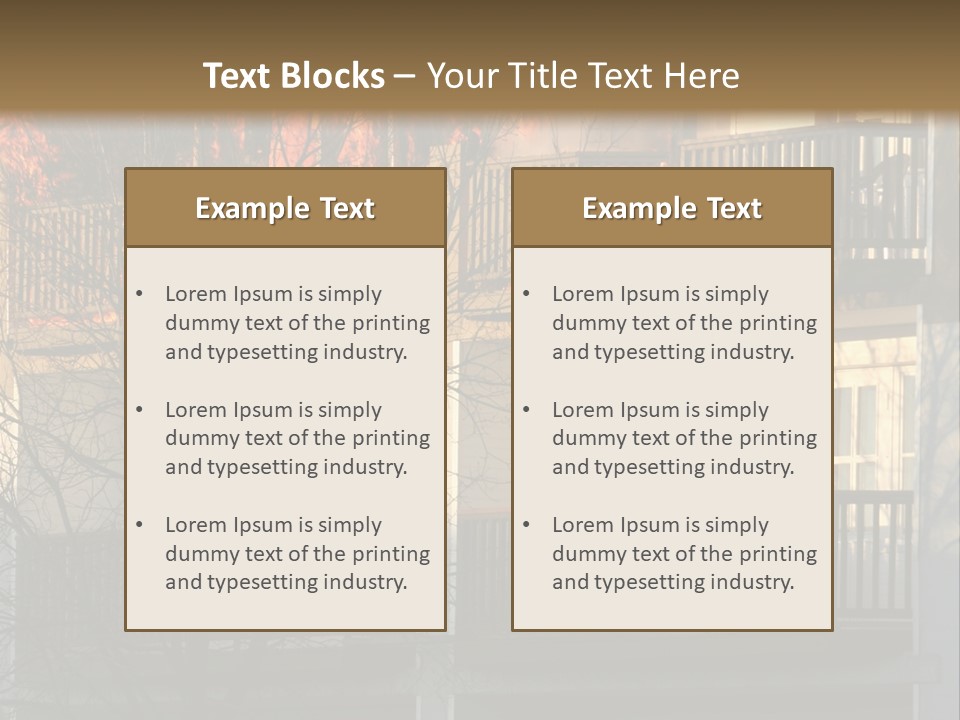 Children Watching A Fire Disaster PowerPoint Template