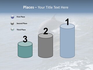 A Dolphin Jumping Out Of The Water On The Alabama Gulf Coast. PowerPoint Template