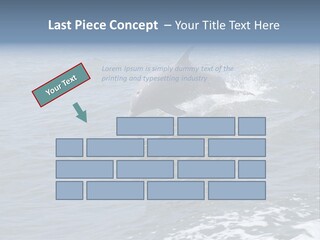 A Dolphin Jumping Out Of The Water On The Alabama Gulf Coast. PowerPoint Template