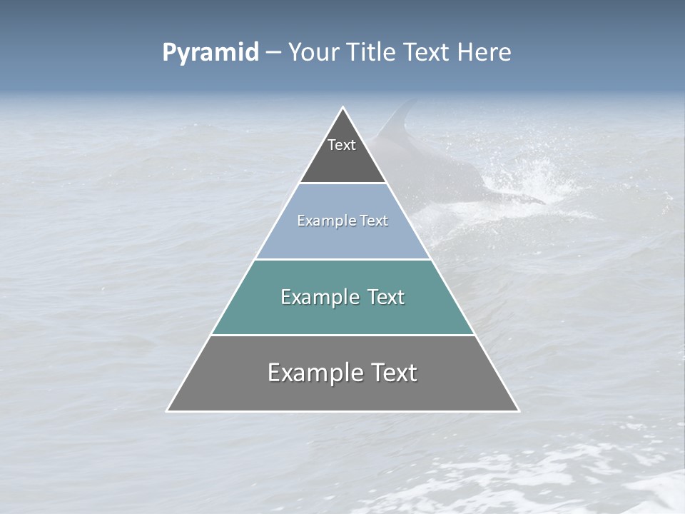 A Dolphin Jumping Out Of The Water On The Alabama Gulf Coast. PowerPoint Template