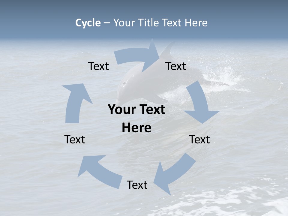 A Dolphin Jumping Out Of The Water On The Alabama Gulf Coast. PowerPoint Template
