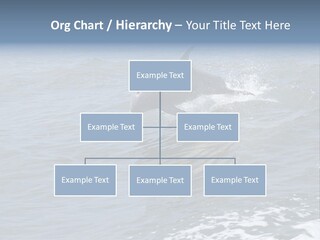 A Dolphin Jumping Out Of The Water On The Alabama Gulf Coast. PowerPoint Template