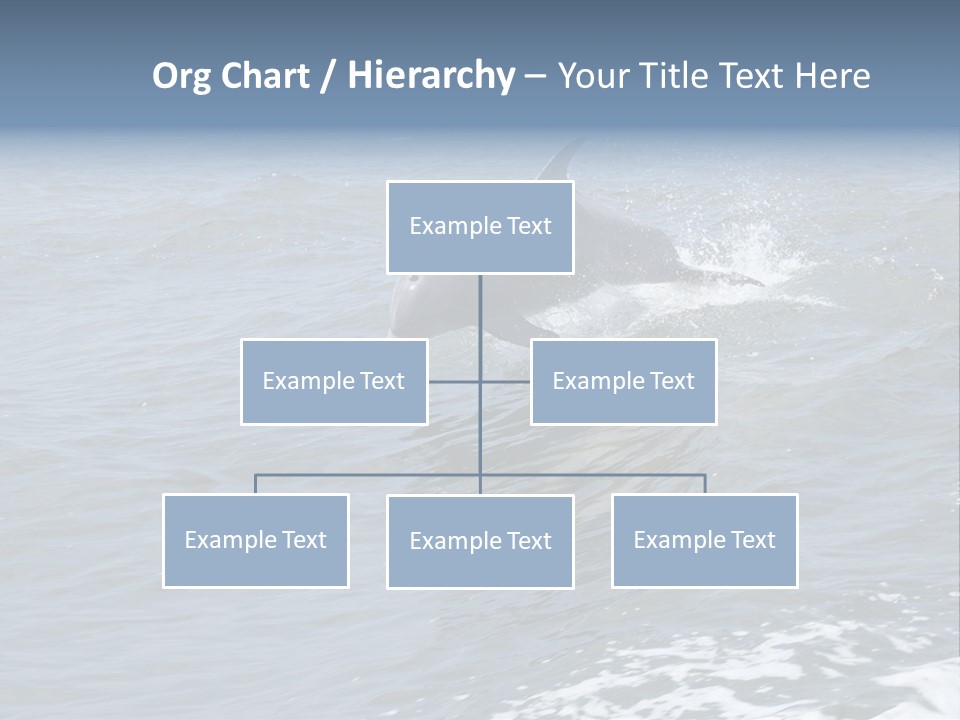 A Dolphin Jumping Out Of The Water On The Alabama Gulf Coast. PowerPoint Template