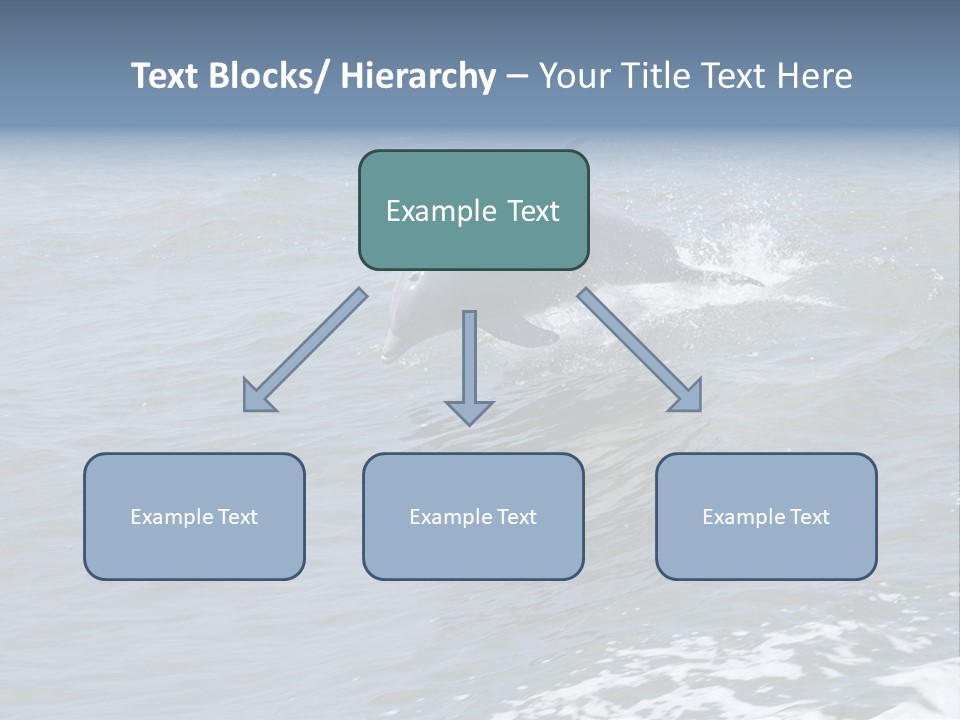 A Dolphin Jumping Out Of The Water On The Alabama Gulf Coast. PowerPoint Template