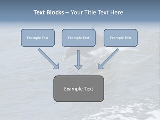A Dolphin Jumping Out Of The Water On The Alabama Gulf Coast. PowerPoint Template