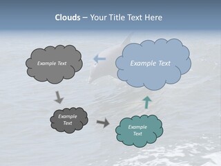 A Dolphin Jumping Out Of The Water On The Alabama Gulf Coast. PowerPoint Template
