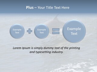 A Dolphin Jumping Out Of The Water On The Alabama Gulf Coast. PowerPoint Template