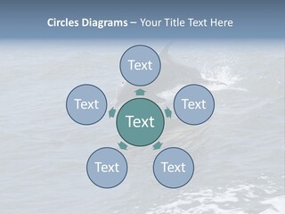 A Dolphin Jumping Out Of The Water On The Alabama Gulf Coast. PowerPoint Template