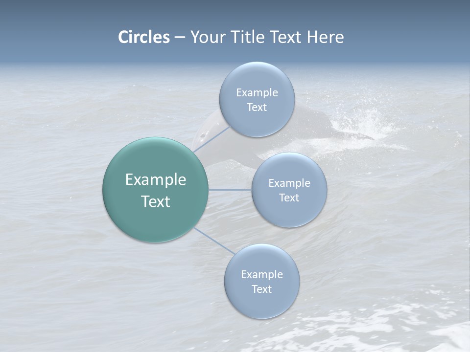 A Dolphin Jumping Out Of The Water On The Alabama Gulf Coast. PowerPoint Template