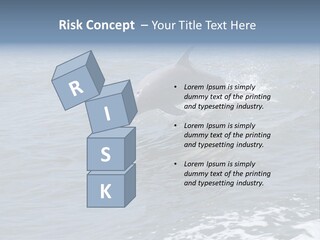 A Dolphin Jumping Out Of The Water On The Alabama Gulf Coast. PowerPoint Template