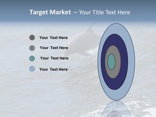 A Dolphin Jumping Out Of The Water On The Alabama Gulf Coast. PowerPoint Template