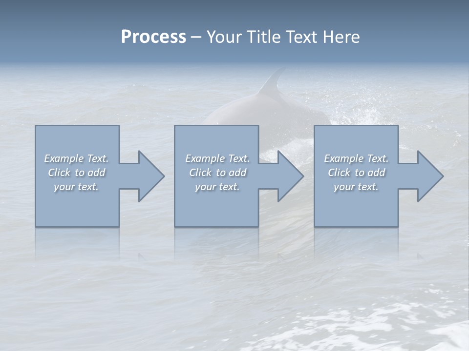 A Dolphin Jumping Out Of The Water On The Alabama Gulf Coast. PowerPoint Template