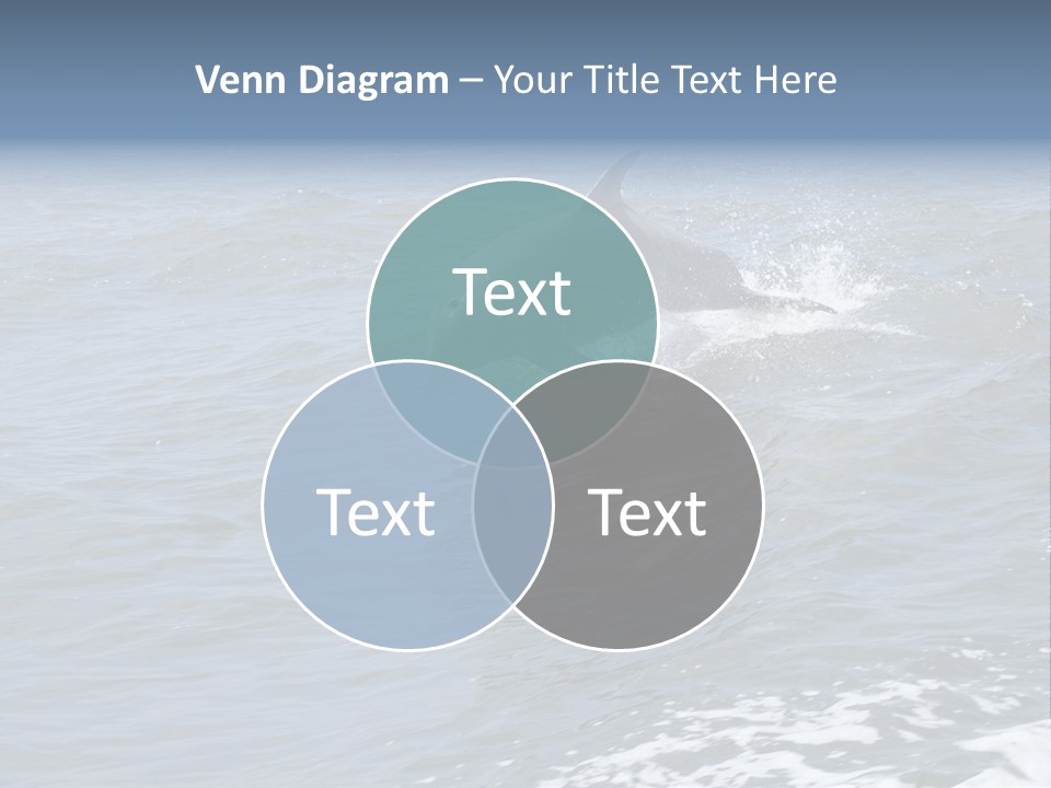 A Dolphin Jumping Out Of The Water On The Alabama Gulf Coast. PowerPoint Template