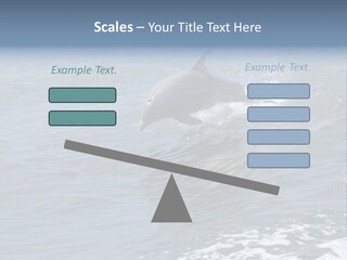 A Dolphin Jumping Out Of The Water On The Alabama Gulf Coast. PowerPoint Template