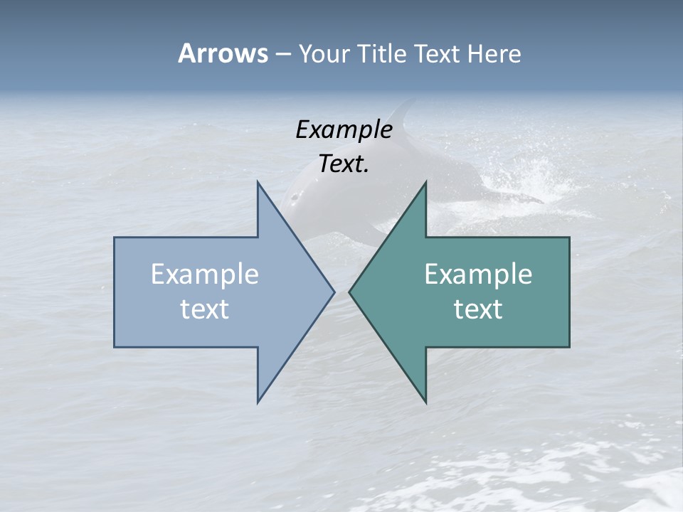 A Dolphin Jumping Out Of The Water On The Alabama Gulf Coast. PowerPoint Template