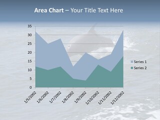 A Dolphin Jumping Out Of The Water On The Alabama Gulf Coast. PowerPoint Template
