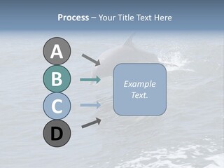 A Dolphin Jumping Out Of The Water On The Alabama Gulf Coast. PowerPoint Template
