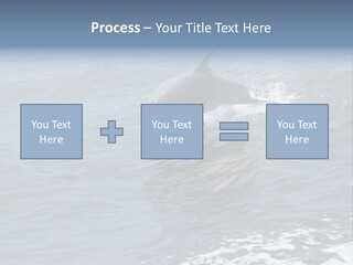A Dolphin Jumping Out Of The Water On The Alabama Gulf Coast. PowerPoint Template