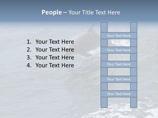 A Dolphin Jumping Out Of The Water On The Alabama Gulf Coast. PowerPoint Template