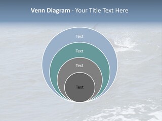 A Dolphin Jumping Out Of The Water On The Alabama Gulf Coast. PowerPoint Template