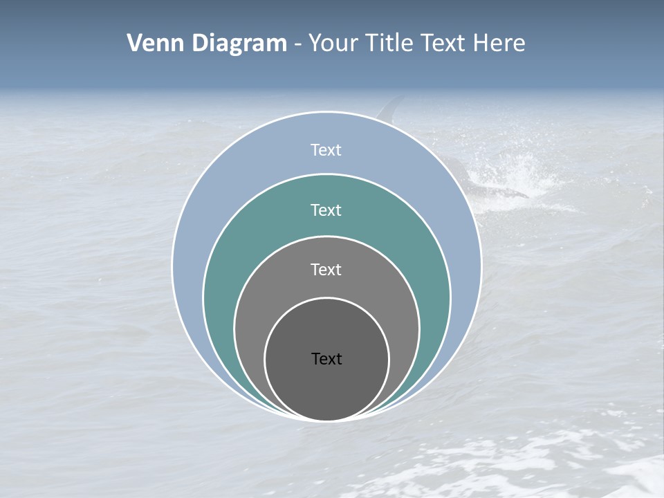 A Dolphin Jumping Out Of The Water On The Alabama Gulf Coast. PowerPoint Template