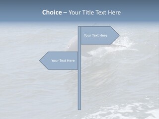 A Dolphin Jumping Out Of The Water On The Alabama Gulf Coast. PowerPoint Template