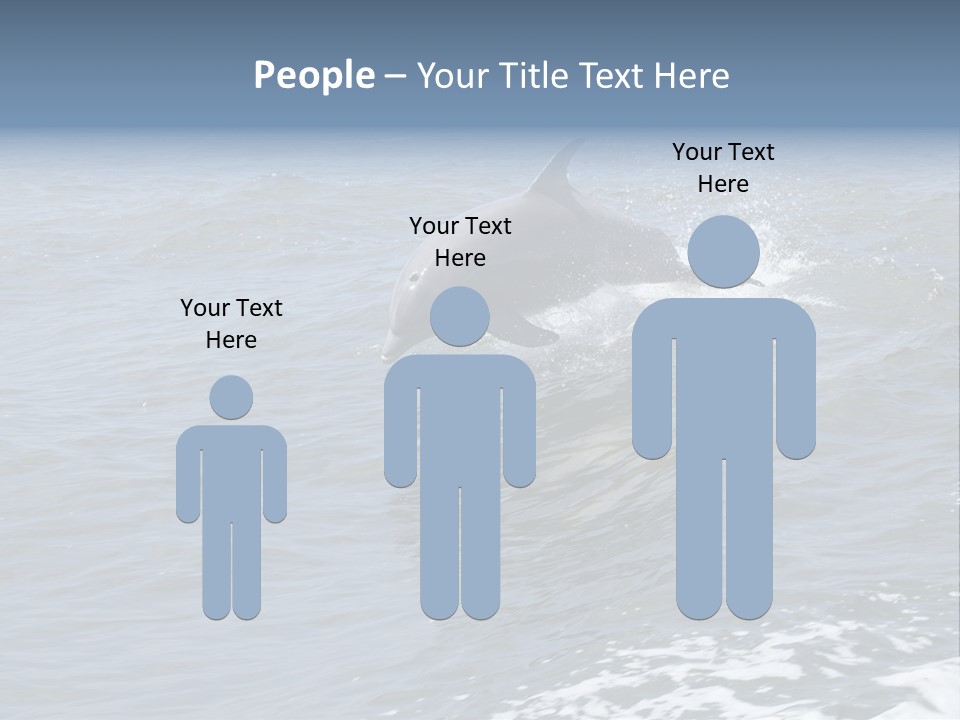 A Dolphin Jumping Out Of The Water On The Alabama Gulf Coast. PowerPoint Template