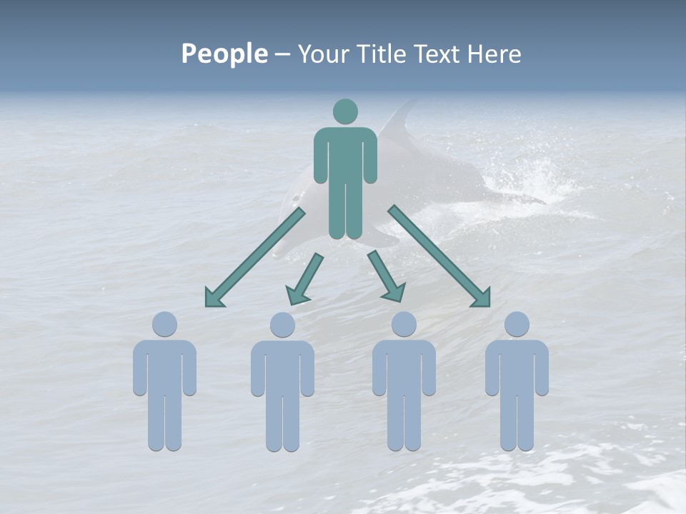 A Dolphin Jumping Out Of The Water On The Alabama Gulf Coast. PowerPoint Template