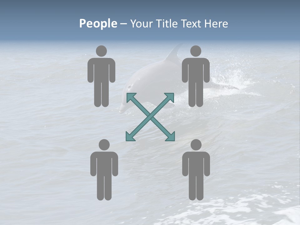 A Dolphin Jumping Out Of The Water On The Alabama Gulf Coast. PowerPoint Template