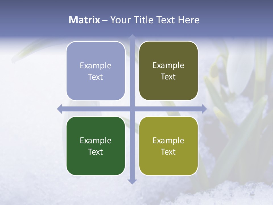 The First Snowdrops Among Thawing Snow PowerPoint Template