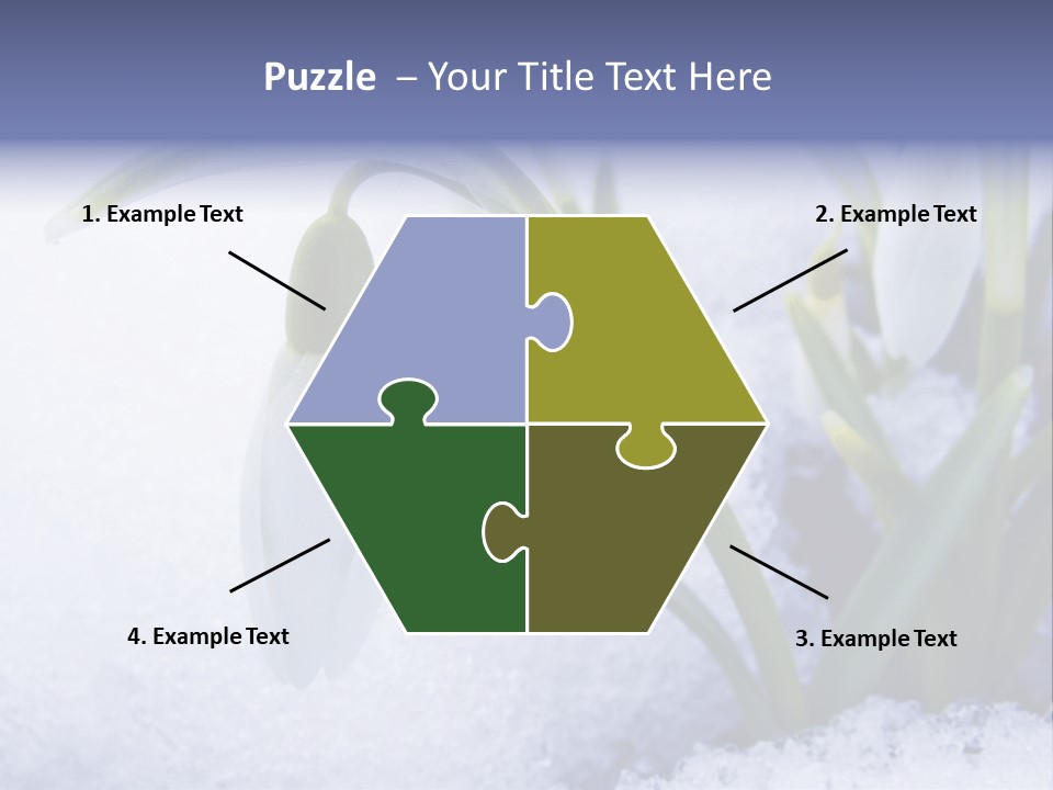 The First Snowdrops Among Thawing Snow PowerPoint Template