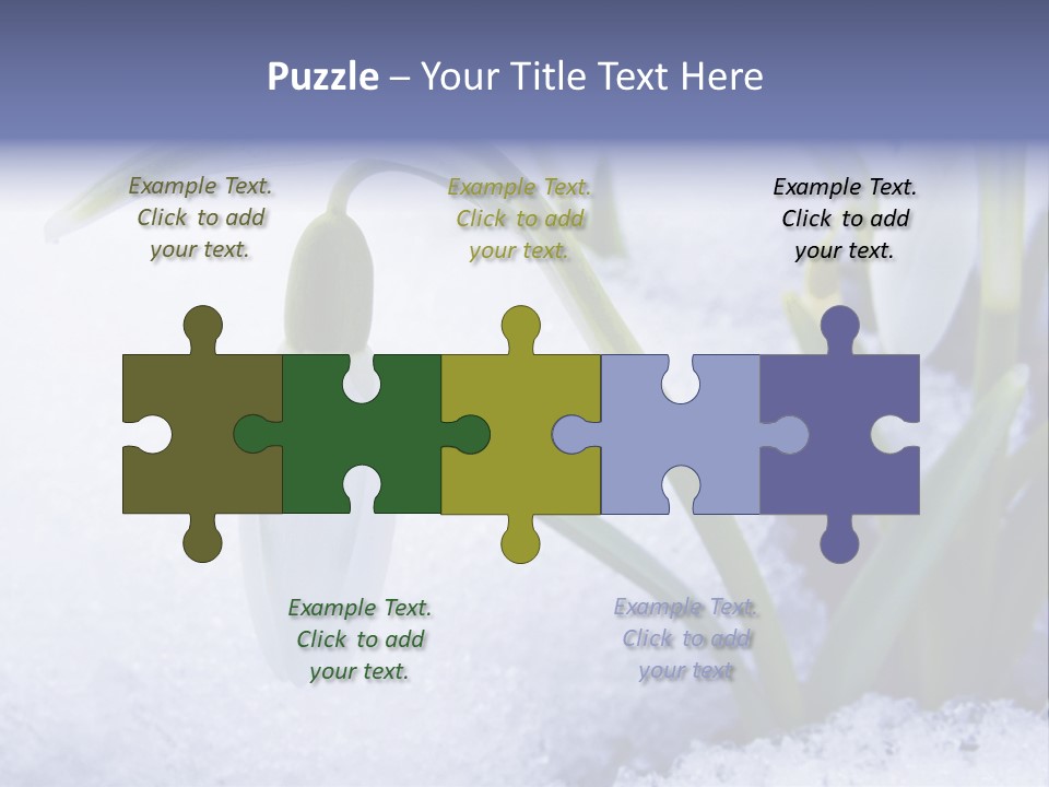 The First Snowdrops Among Thawing Snow PowerPoint Template