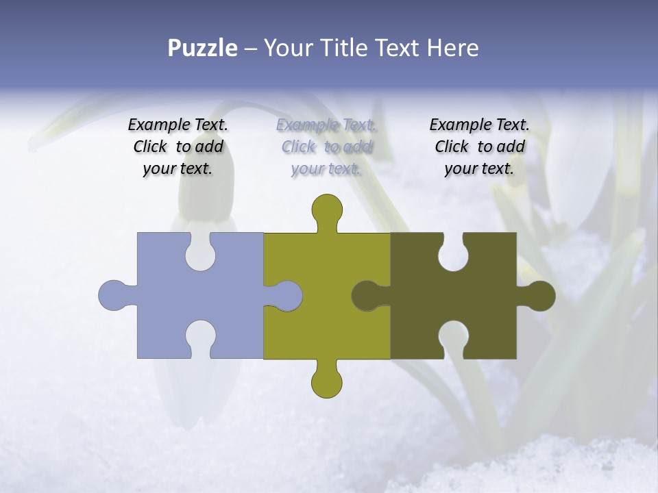 The First Snowdrops Among Thawing Snow PowerPoint Template