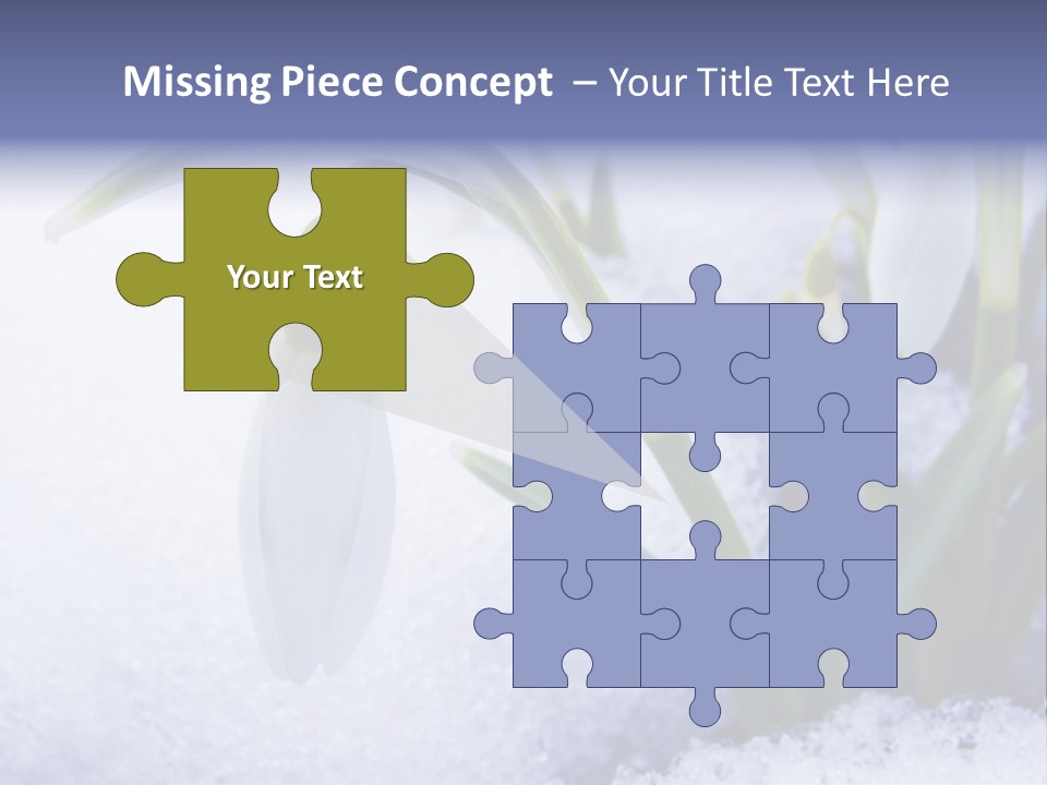 The First Snowdrops Among Thawing Snow PowerPoint Template