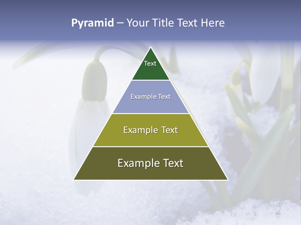 The First Snowdrops Among Thawing Snow PowerPoint Template