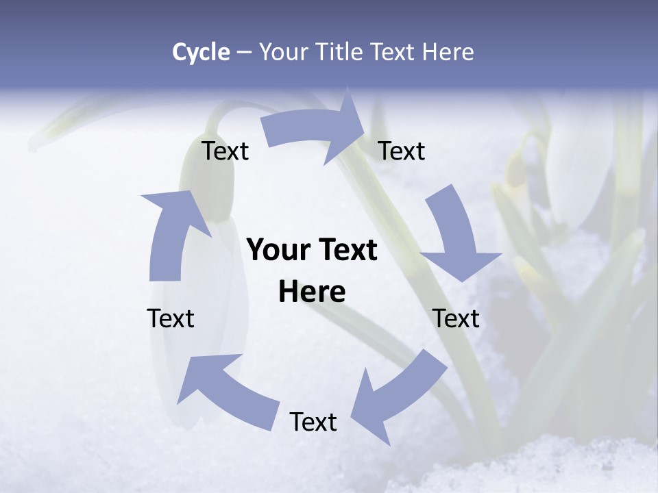 The First Snowdrops Among Thawing Snow PowerPoint Template