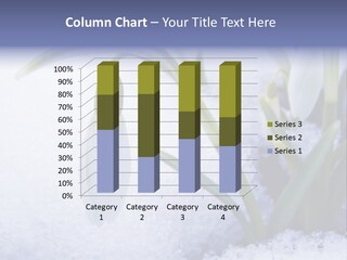 The First Snowdrops Among Thawing Snow PowerPoint Template