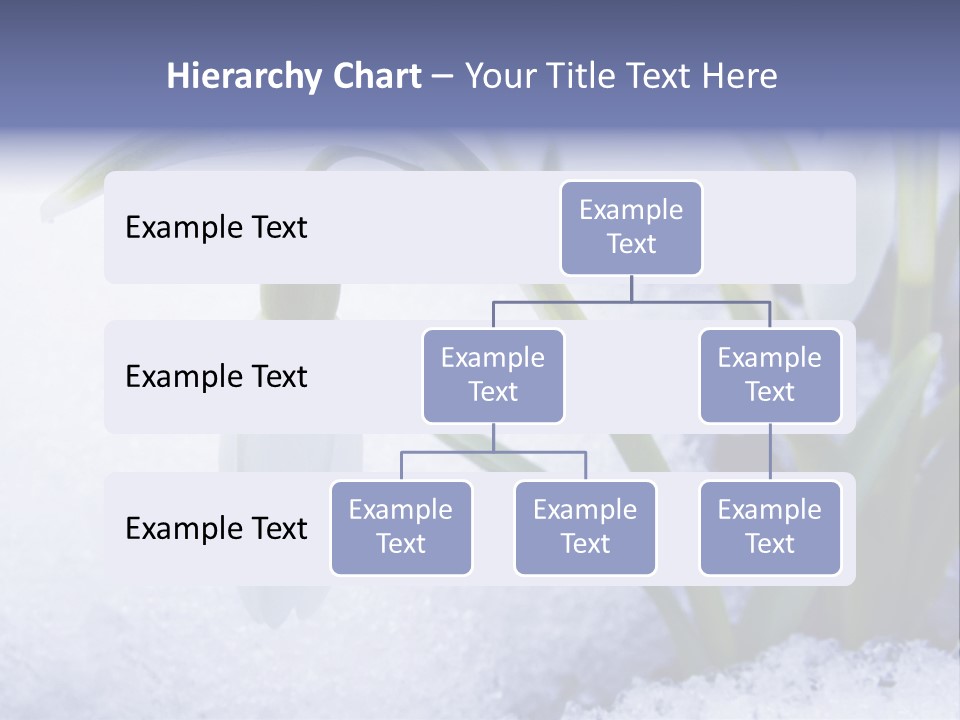 The First Snowdrops Among Thawing Snow PowerPoint Template