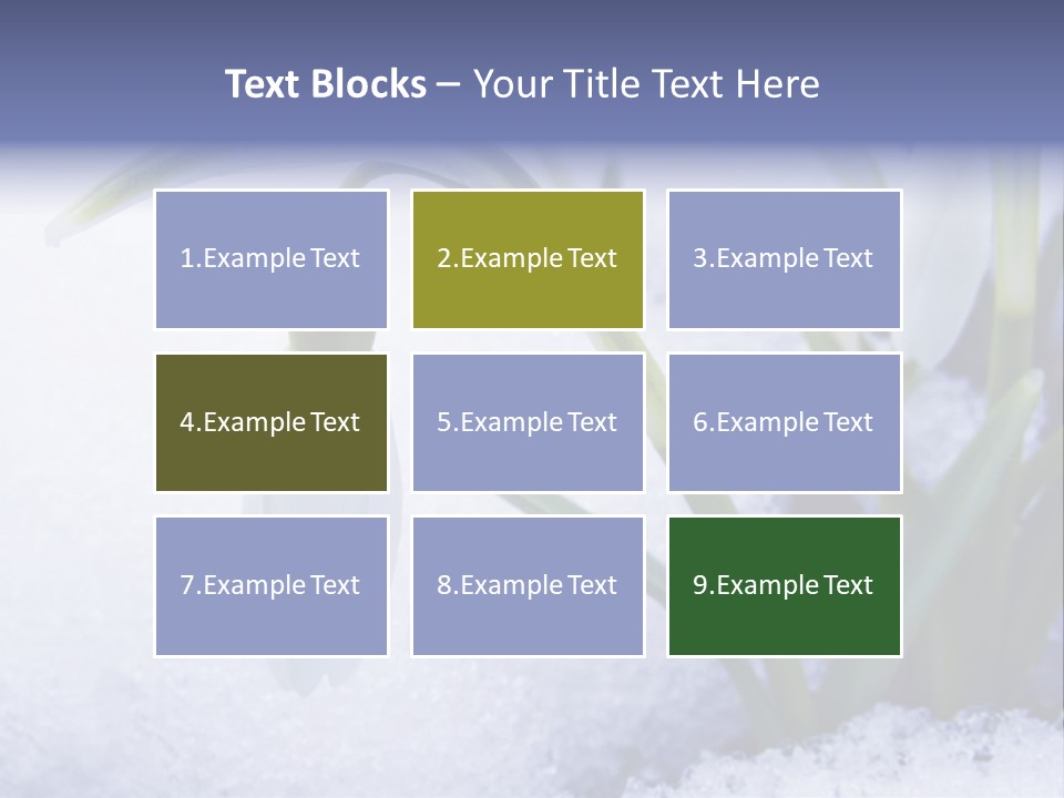 The First Snowdrops Among Thawing Snow PowerPoint Template