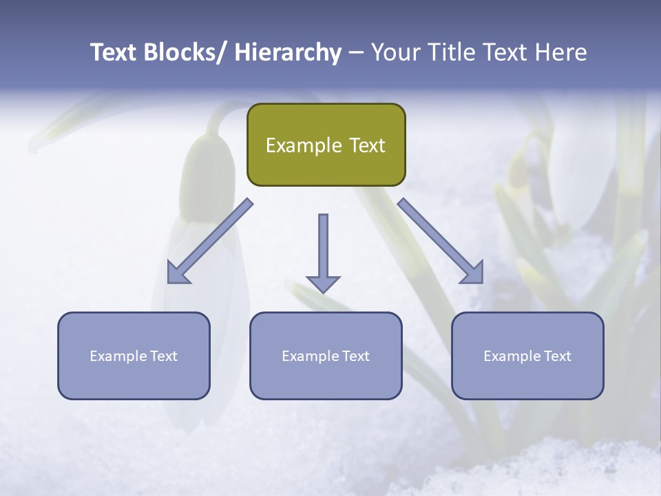 The First Snowdrops Among Thawing Snow PowerPoint Template