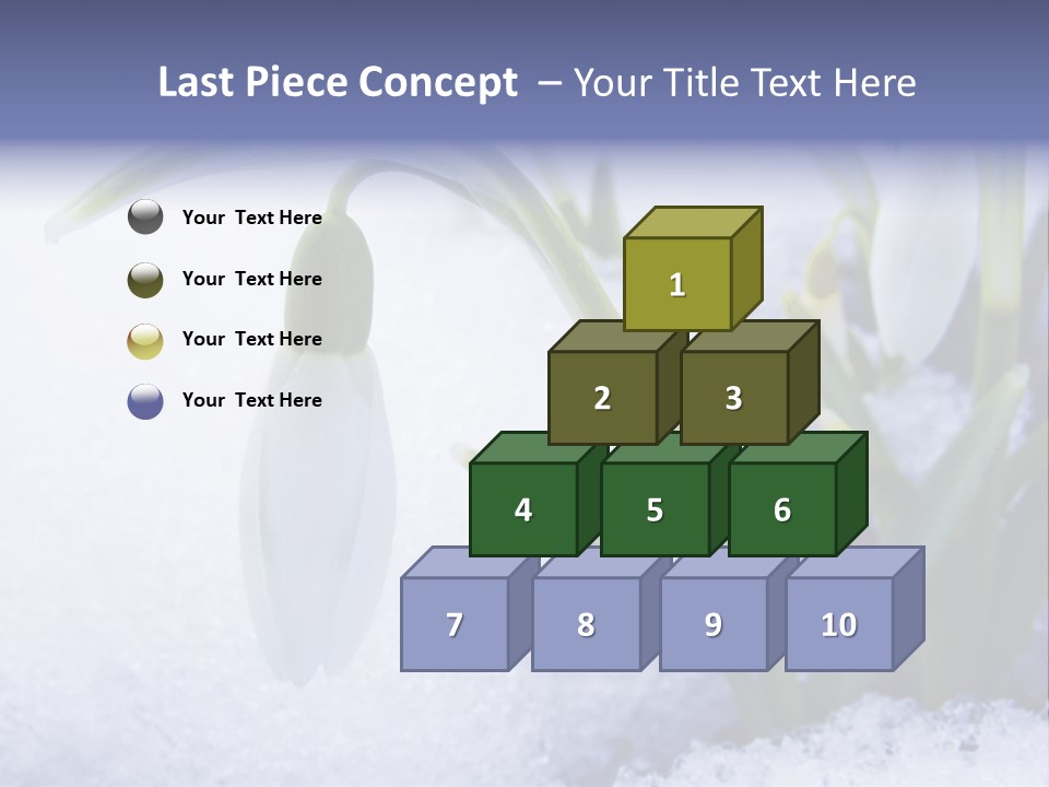 The First Snowdrops Among Thawing Snow PowerPoint Template