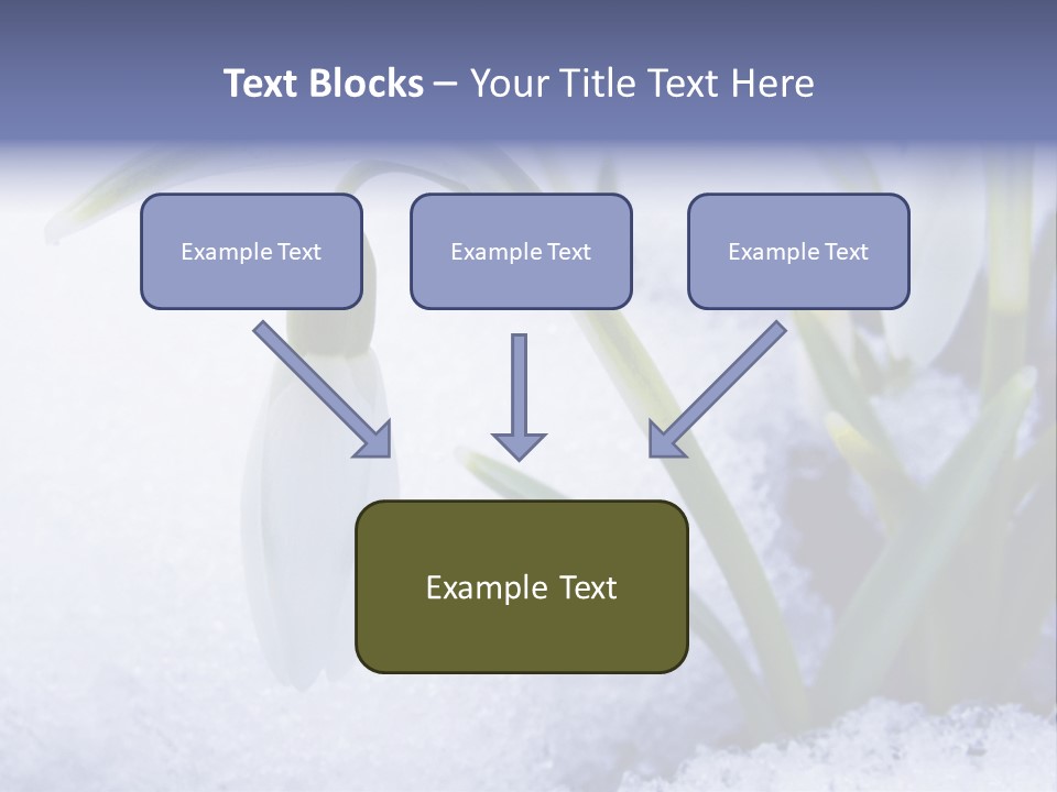 The First Snowdrops Among Thawing Snow PowerPoint Template