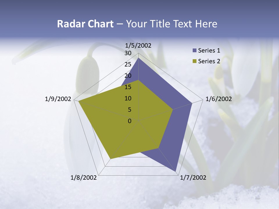 The First Snowdrops Among Thawing Snow PowerPoint Template