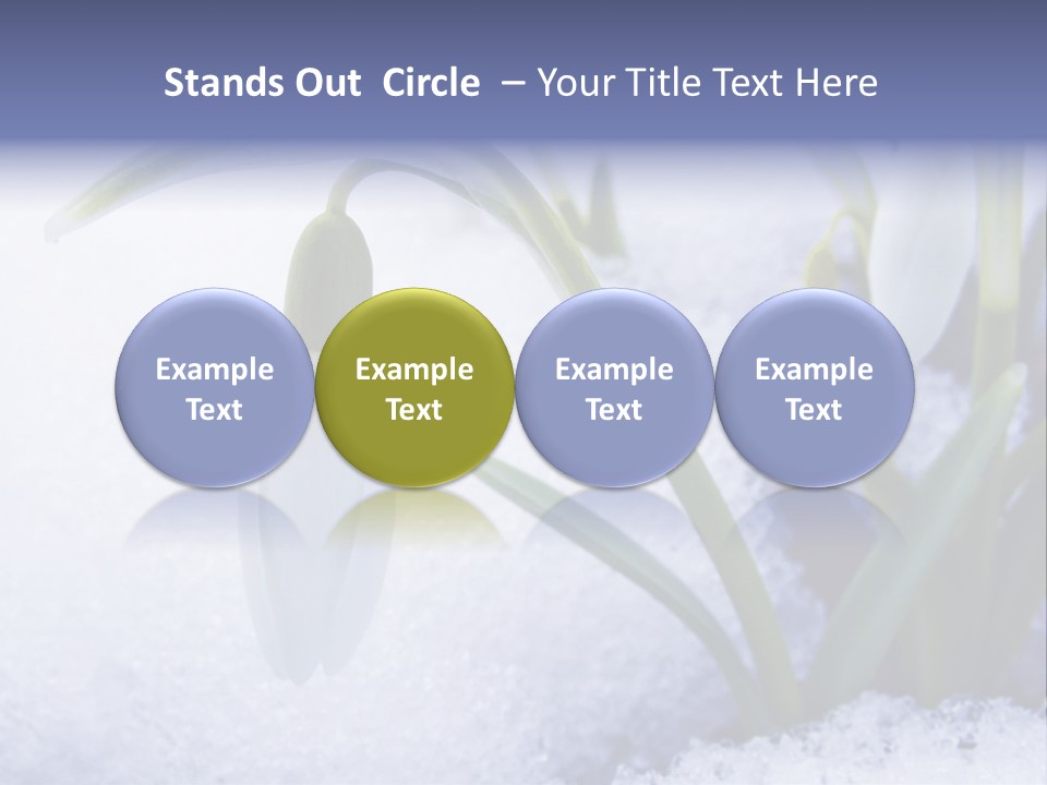 The First Snowdrops Among Thawing Snow PowerPoint Template